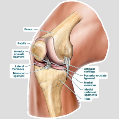 Knee injuries, sports physio belfast