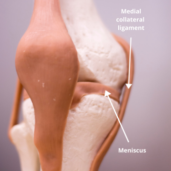 ACL injury recovery time