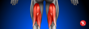 Hamstring injury